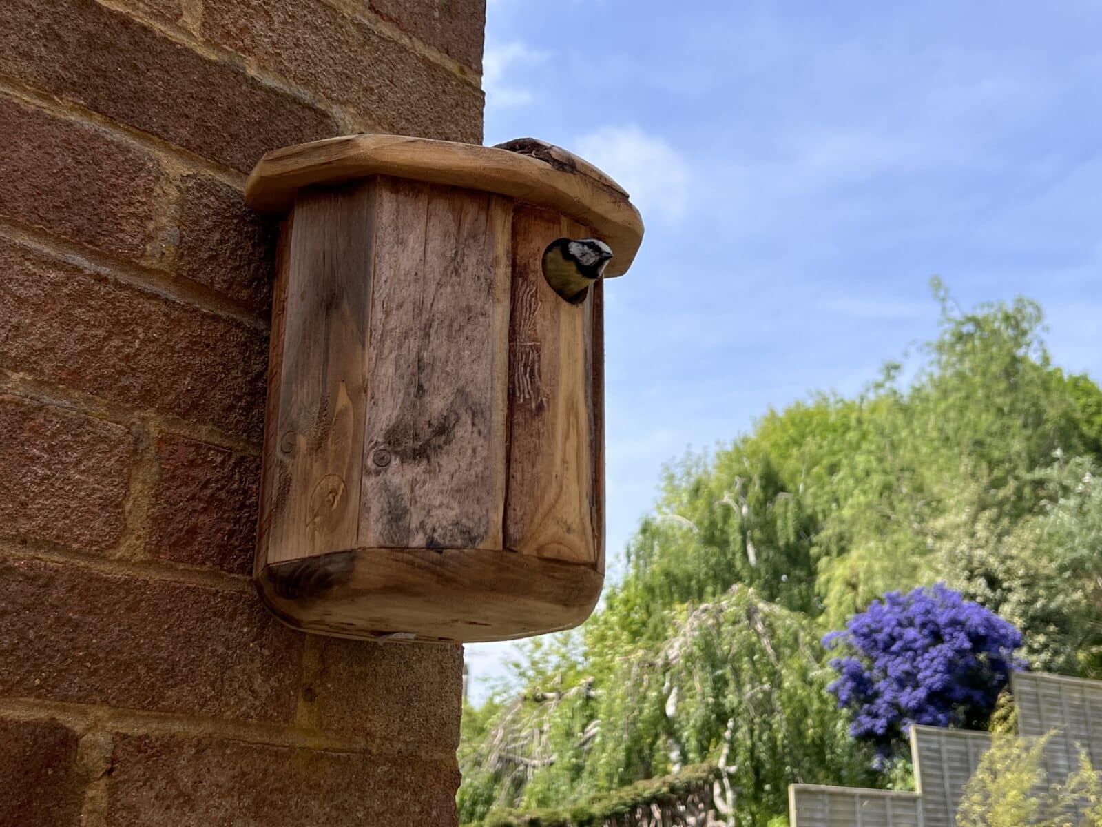 Garden Product Design and Prototype