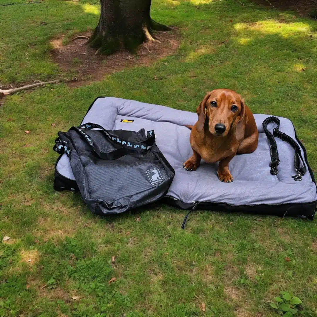 pet product design and development